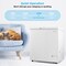 Compact Freestanding Chest Freezer with Removable Storage Basket